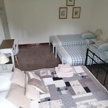 La Ventulella Bed & Breakfast Moltifao Ngoại thất bức ảnh