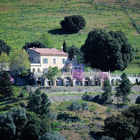 La Ventulella Bed & Breakfast Moltifao Ngoại thất bức ảnh