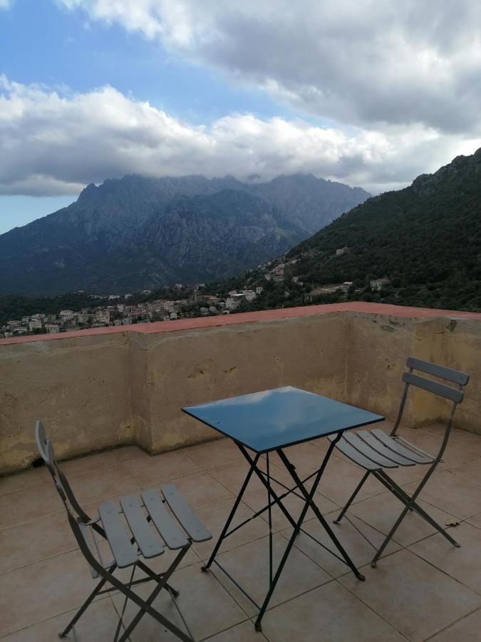 La Ventulella Bed & Breakfast Moltifao Ngoại thất bức ảnh