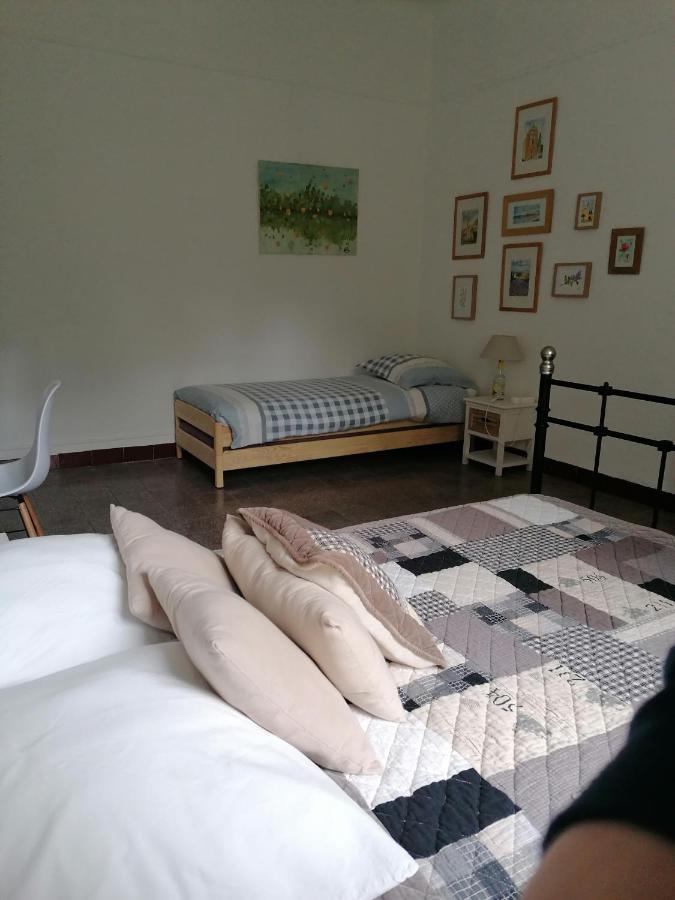 La Ventulella Bed & Breakfast Moltifao Ngoại thất bức ảnh